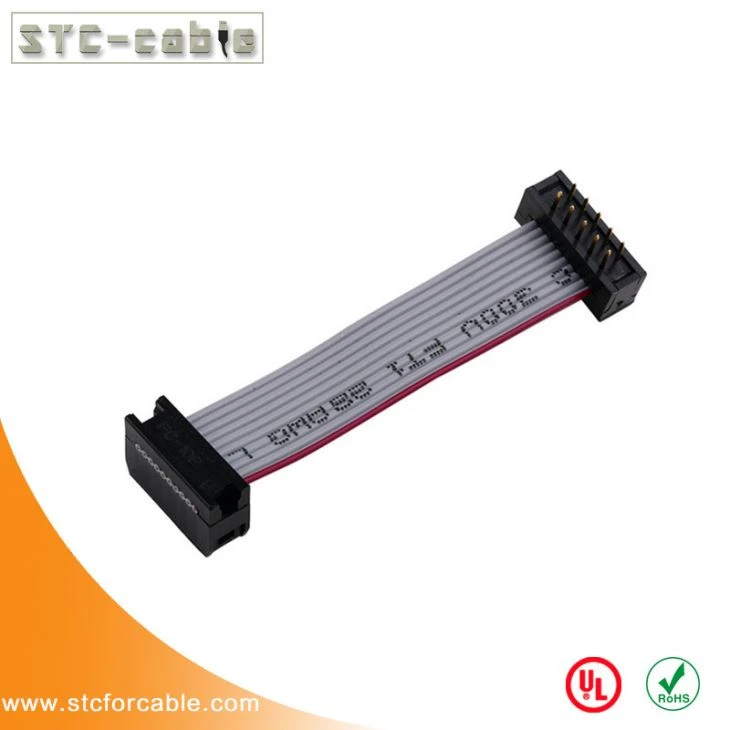 2.54 mm Pitch 2x5Pin 10Pin 10 fils IDC ruban plat câble M/F
